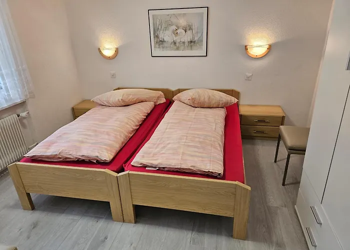 Haus Apollo 公寓 萨斯阿尔马格尔